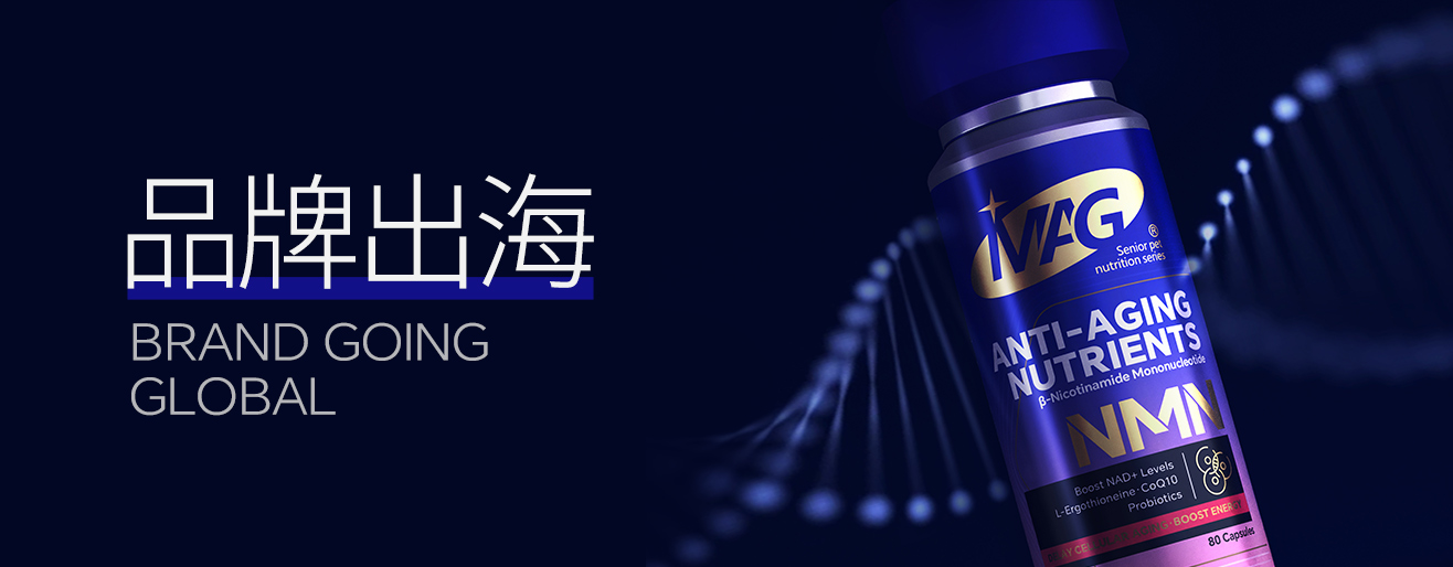 最新案例